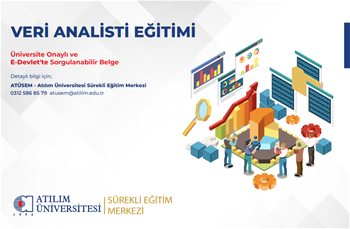 Veri Analisti Eğitimi